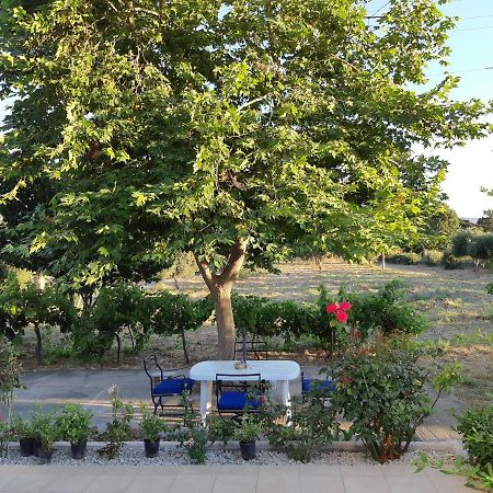 Swan House Panoramic View - Near The Sea Villa Zipárion Eksteriør billede
